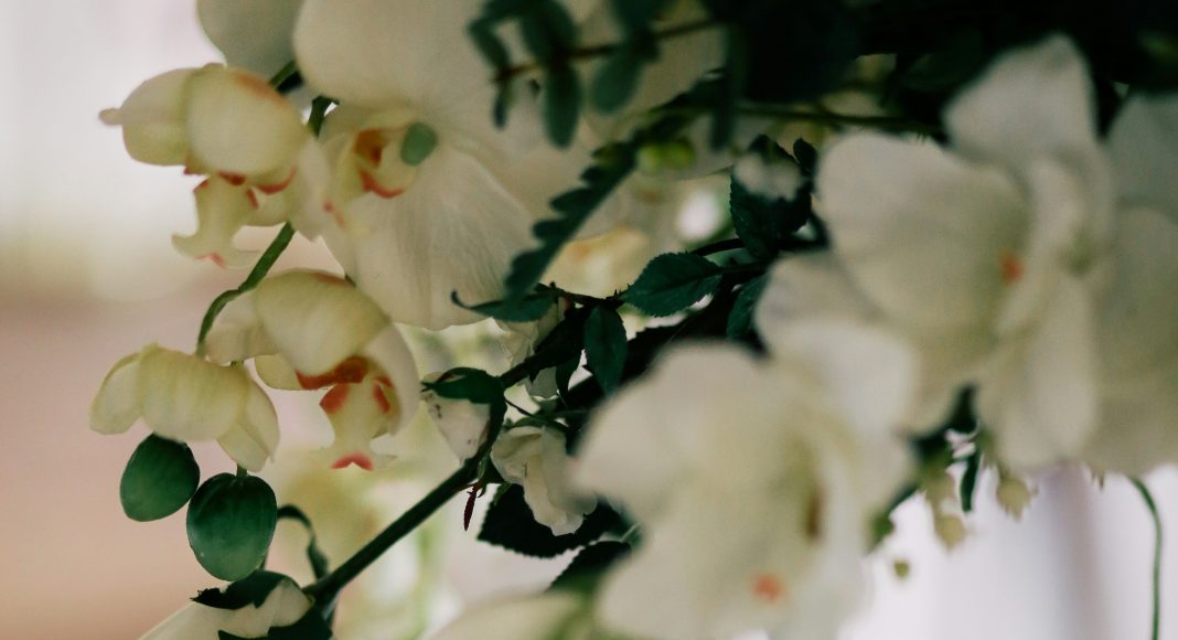 Best Wedding Venues Idaho